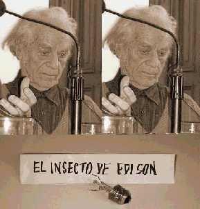  Parra-El insecto de Edison 